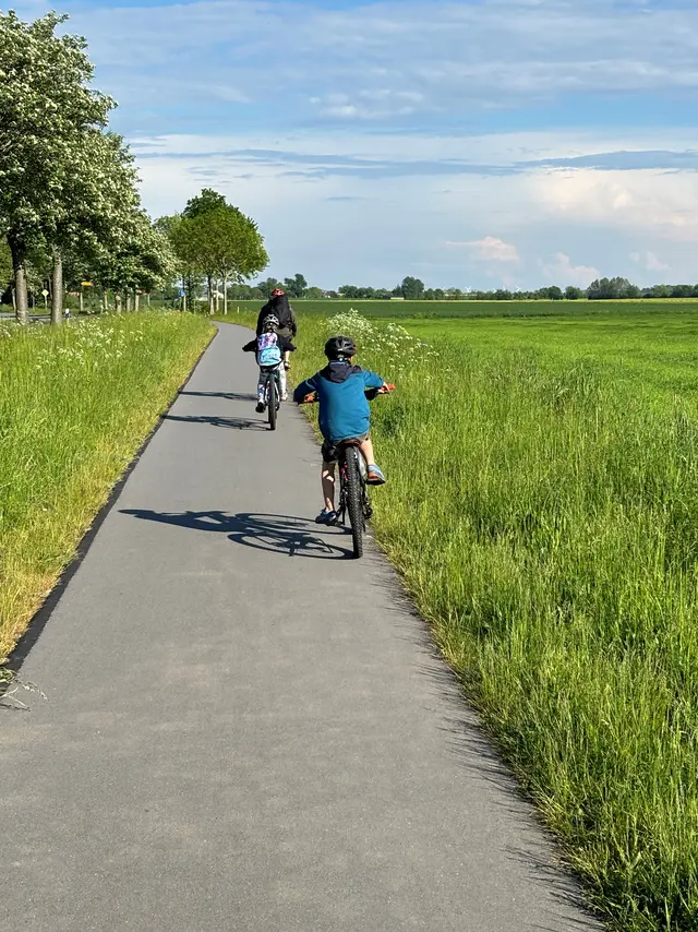 Drei Radfahrer, welche hintereinander auf einen Radweg mit danebenliegender Wiese fahren.